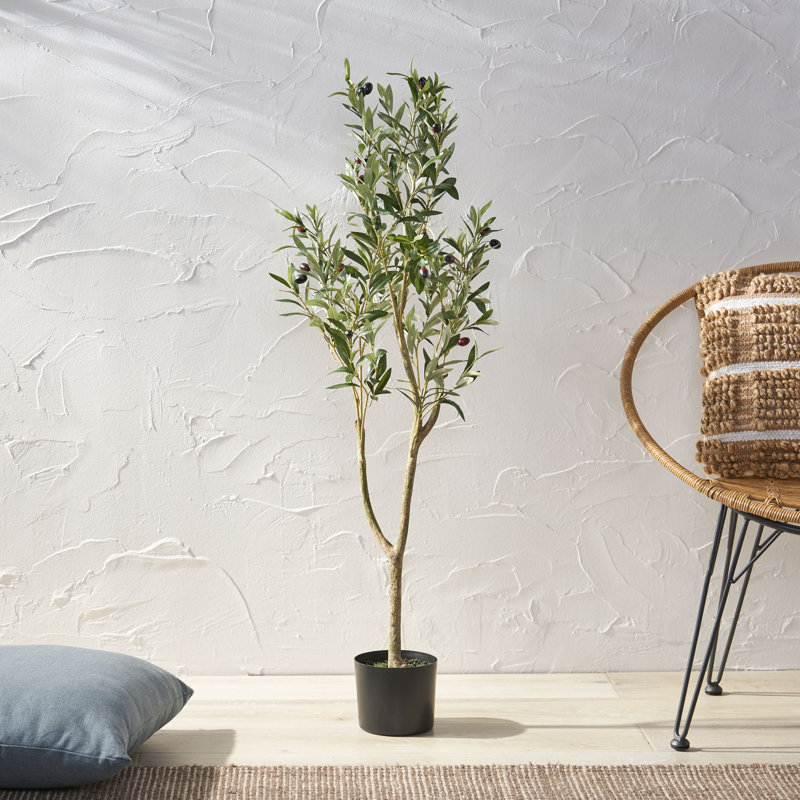 Primrue Aarav Artificial Olive Tree in Pot & Reviews Wayfair